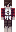 Tubbo_ Minecraft Skin