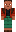 Entity303 Minecraft Skin