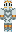 Bustom Minecraft Skin