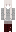 acunamatata12s Minecraft Skin