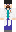 Dinnerbone Minecraft Skin