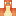 These Minecraft Profile