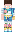 Wichtiger Minecraft Skin