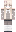 acumensans Minecraft Skin