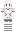 stealnvvs Minecraft Skin