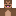 Monkey Minecraft Profile