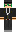 pickel Minecraft Skin
