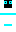 FairCatRR Minecraft Skin