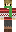 Grian Minecraft Skin