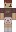 nihql Minecraft Skin