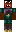 SultanPetillant1 Minecraft Skin