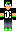 prem Minecraft Skin
