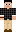 Gr8Submarine Minecraft Skin