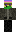 LittleTorllin Minecraft Skin