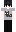 Night Minecraft Skin