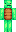 Turtle Minecraft Skin