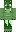 Bustom Minecraft Skin