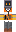 Pebir Minecraft Skin