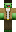 SuperTurtle64 Minecraft Skin