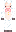 emtyjarr Minecraft Skin
