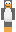 theoenjoyer123 Minecraft Skin