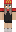 DieKawasakiZ900 Minecraft Skin