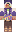 Swrdom Minecraft Skin