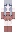 snasii Minecraft Skin