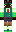 Antfrost Minecraft Skin