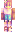 Nicole22334 Minecraft Skin