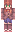 Zkat25 Minecraft Skin