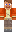 Petzzy Minecraft Skin