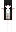 Cool Minecraft Skin