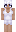 viandotZIP Minecraft Skin