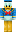 Donald Minecraft Skin