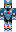 SillyGoose Minecraft Skin