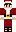 David14p Minecraft Skin