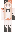 Safari Minecraft Skin