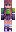 Nivarelys Minecraft Skin