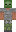 BlindTwig Minecraft Skin