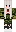 PatriotGirl_Vika Minecraft Skin