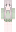 cattedd Minecraft Skin