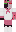 Ranboo Minecraft Skin