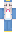 chromeed Minecraft Skin