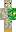 hedgedawh Minecraft Skin