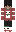 Adianyt Minecraft Skin