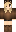 Safari Minecraft Skin