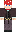 Mushroom Minecraft Skin