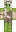 Kiwi Minecraft Skin