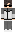 FreeModePolizei Minecraft Skin